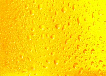 The Ultimate Guide to Beer Glasses: Enhancing Your Drinking Experience