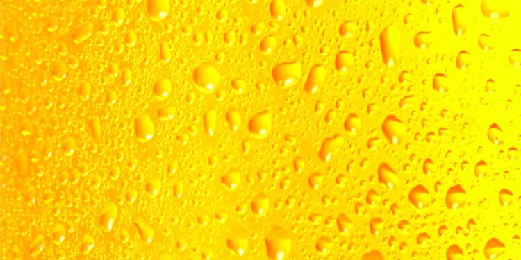 The Ultimate Guide to Beer Glasses: Enhancing Your Drinking Experience