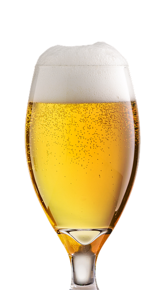 The Ultimate Guide to Beer Refrigerators: Keeping Your Brews Cold and Ready to Drink