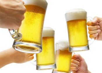 The Craft of Beer: Exploring the World of Canned Brews