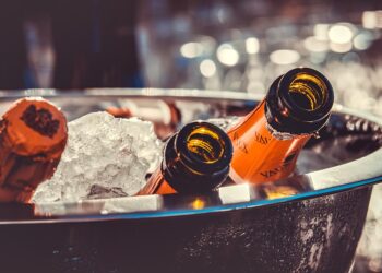 Brews and Bites: A Culinary Celebration of Craft Beer